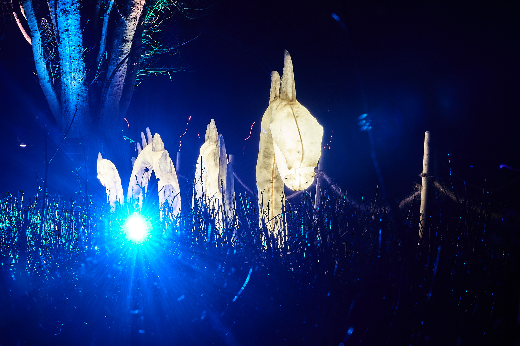 2018 03 10 Parkleuchten 0120